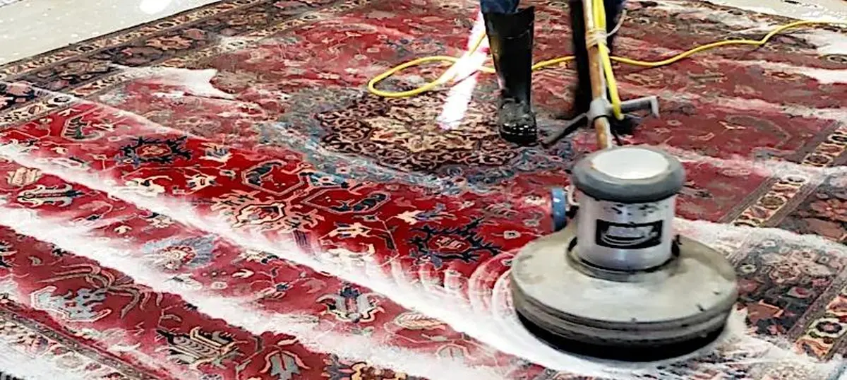 area rug Cleaning